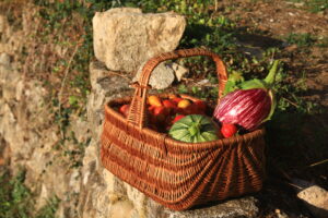 Légumes frais
